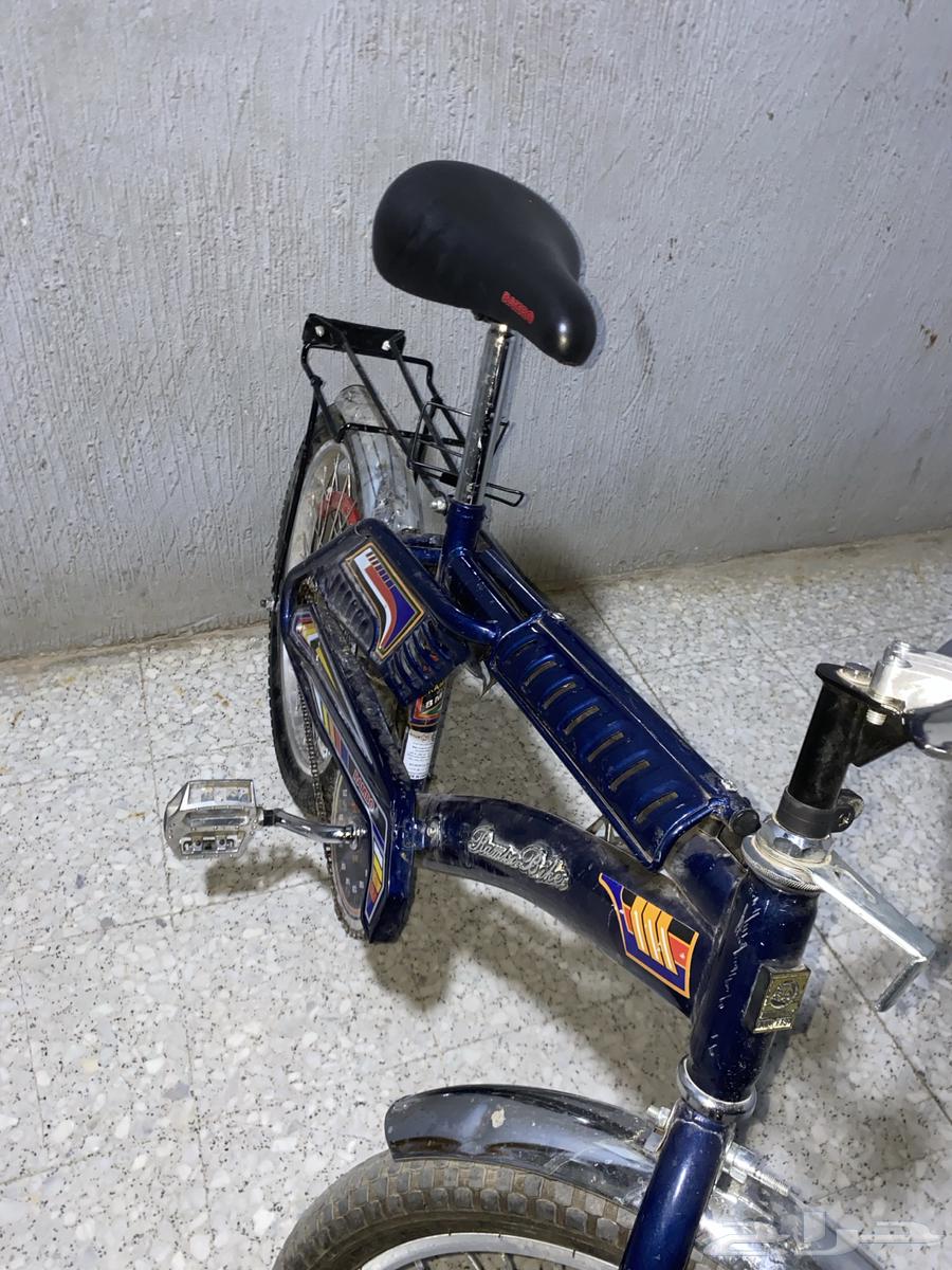 سيكل رامبو64410391568641113