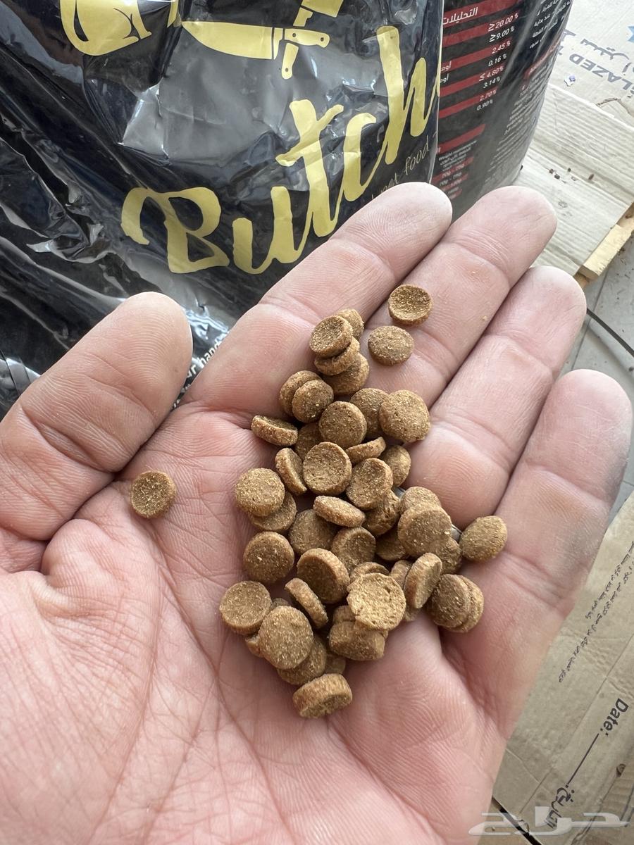 أكياس أكل قطط 20 كيلو بالجملة64408680606467114