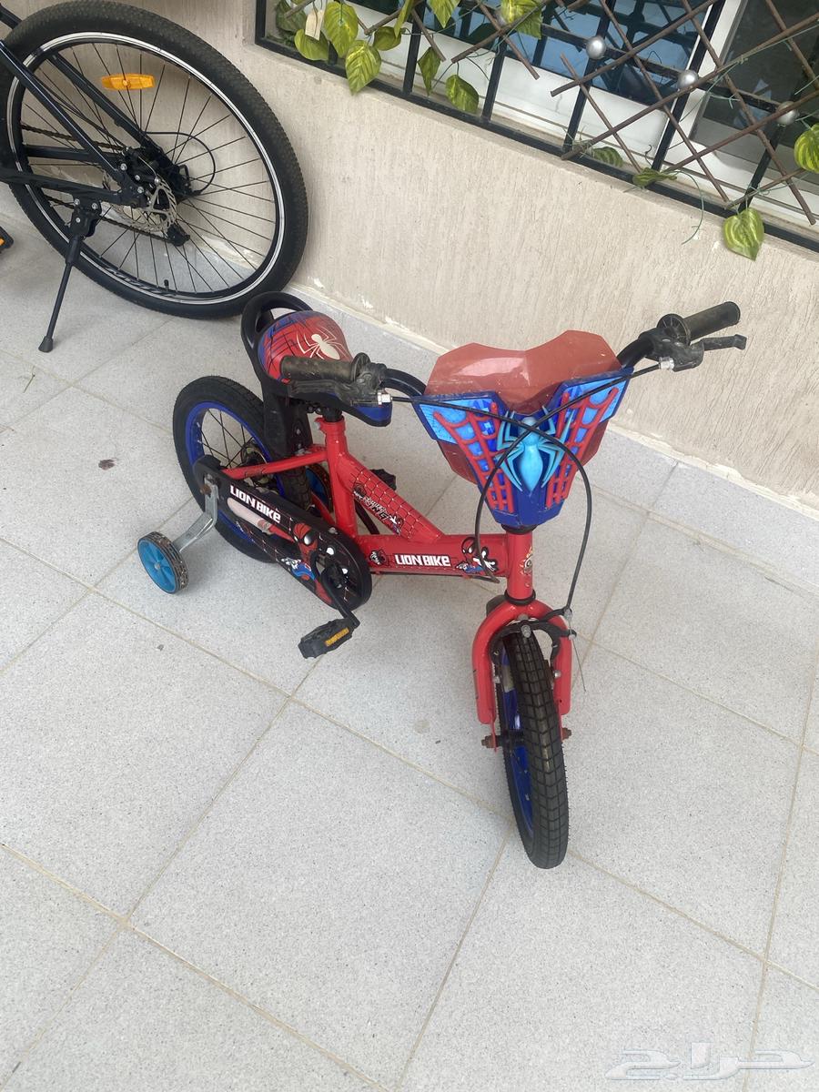 عجله واسكوتر كهربائي64409366830594113