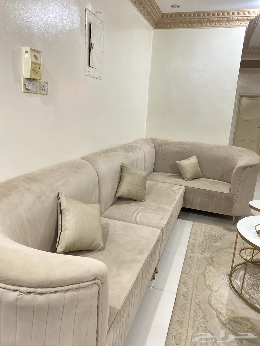 كنب شبه جديد ب 800 وقابل للتفاوض64408188374147110