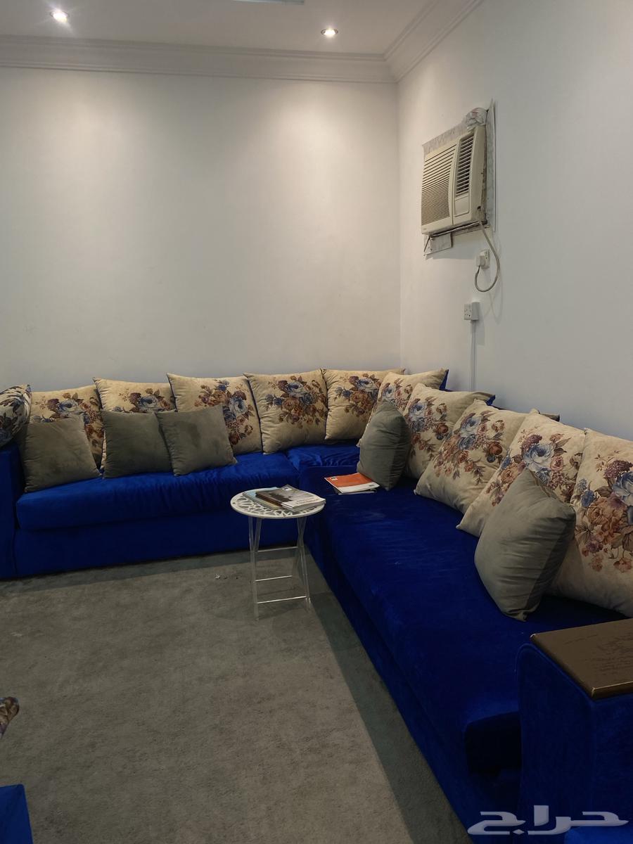 كنت لي البيع نضيف64407461330691112