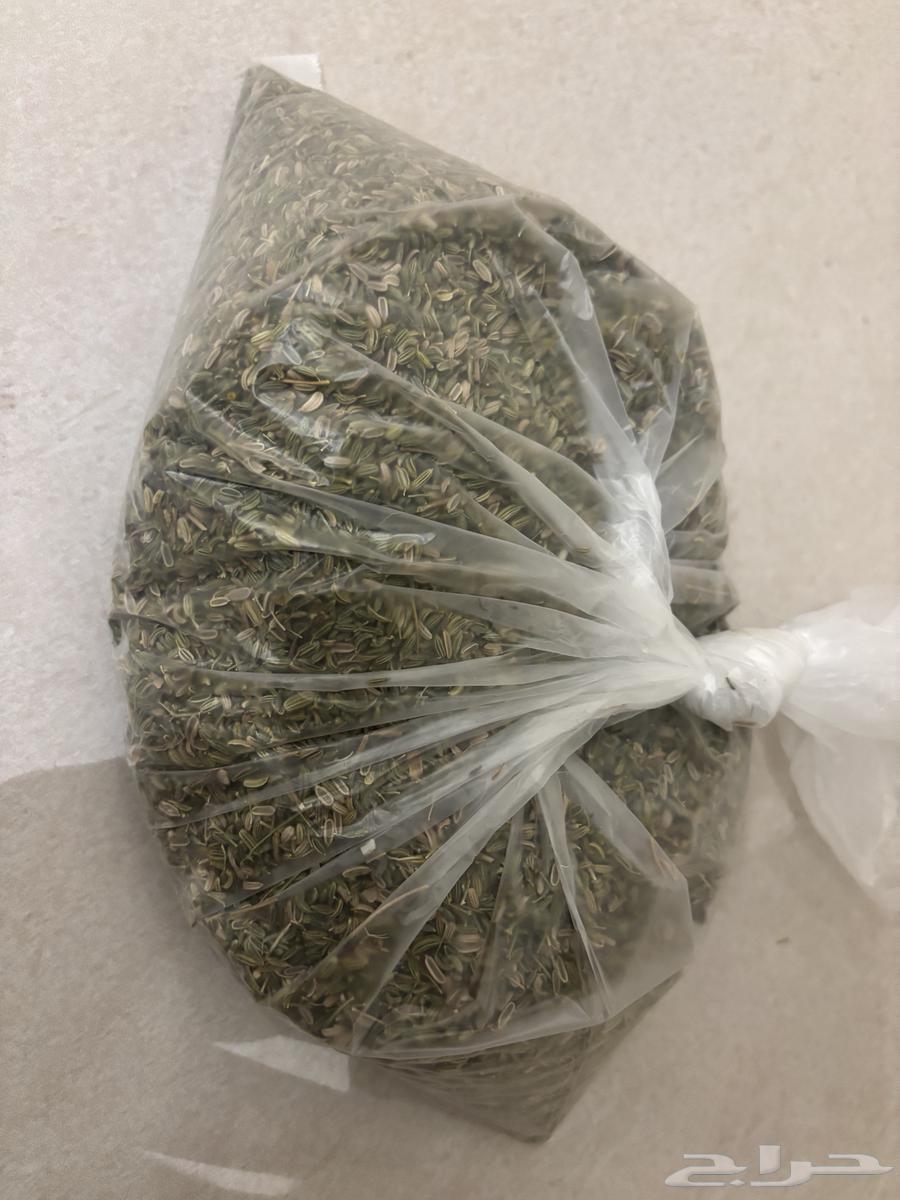 سنوت بلدي64405278970882111