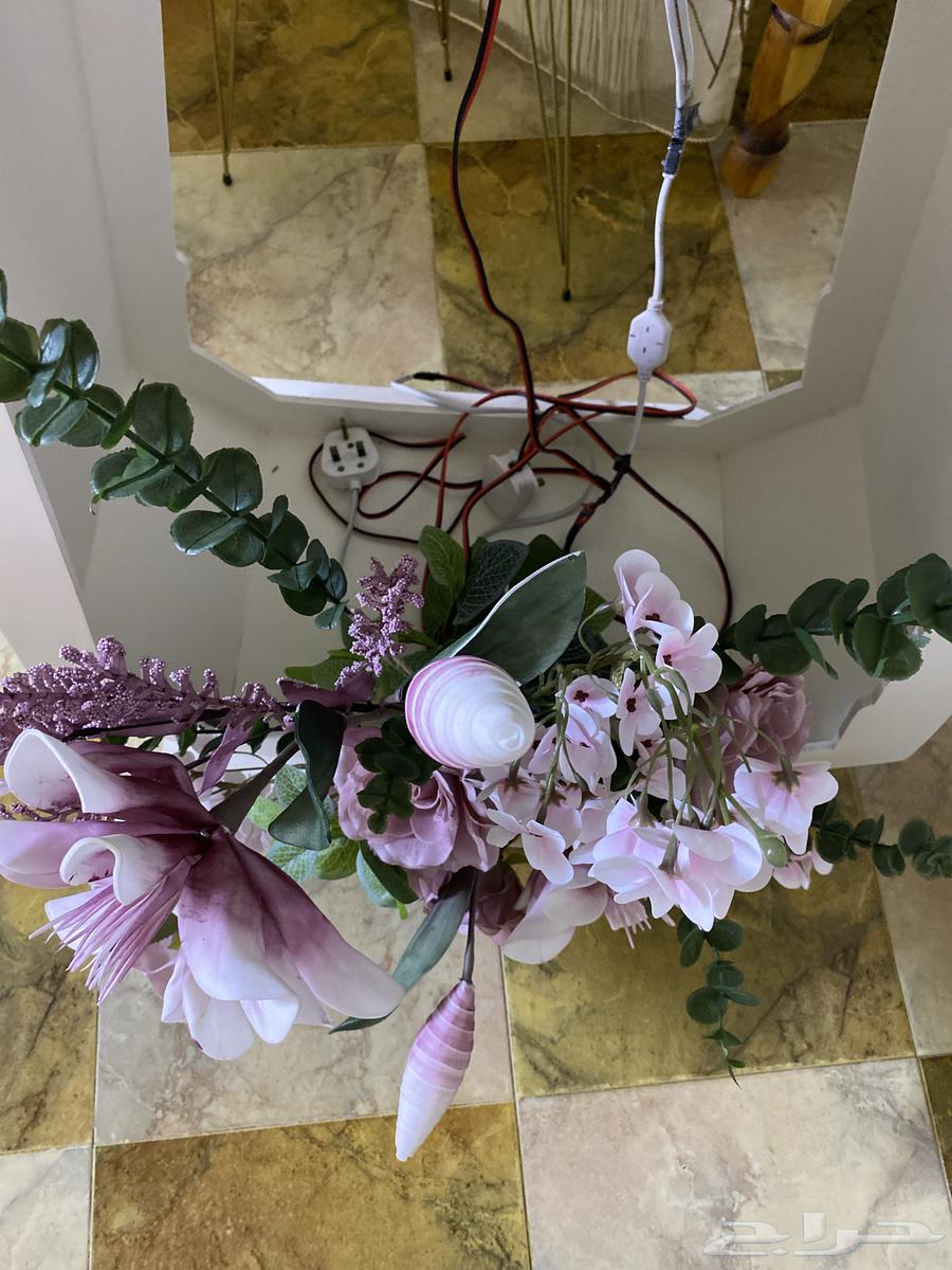 دولاب ملكه64409157712642113