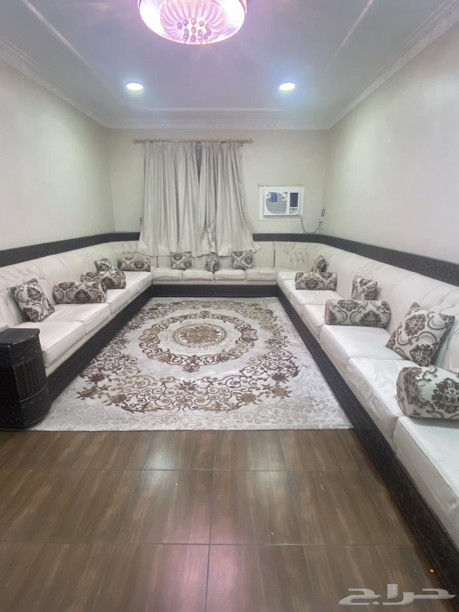 All items for sale: sofa with star and carpet64409477825411112