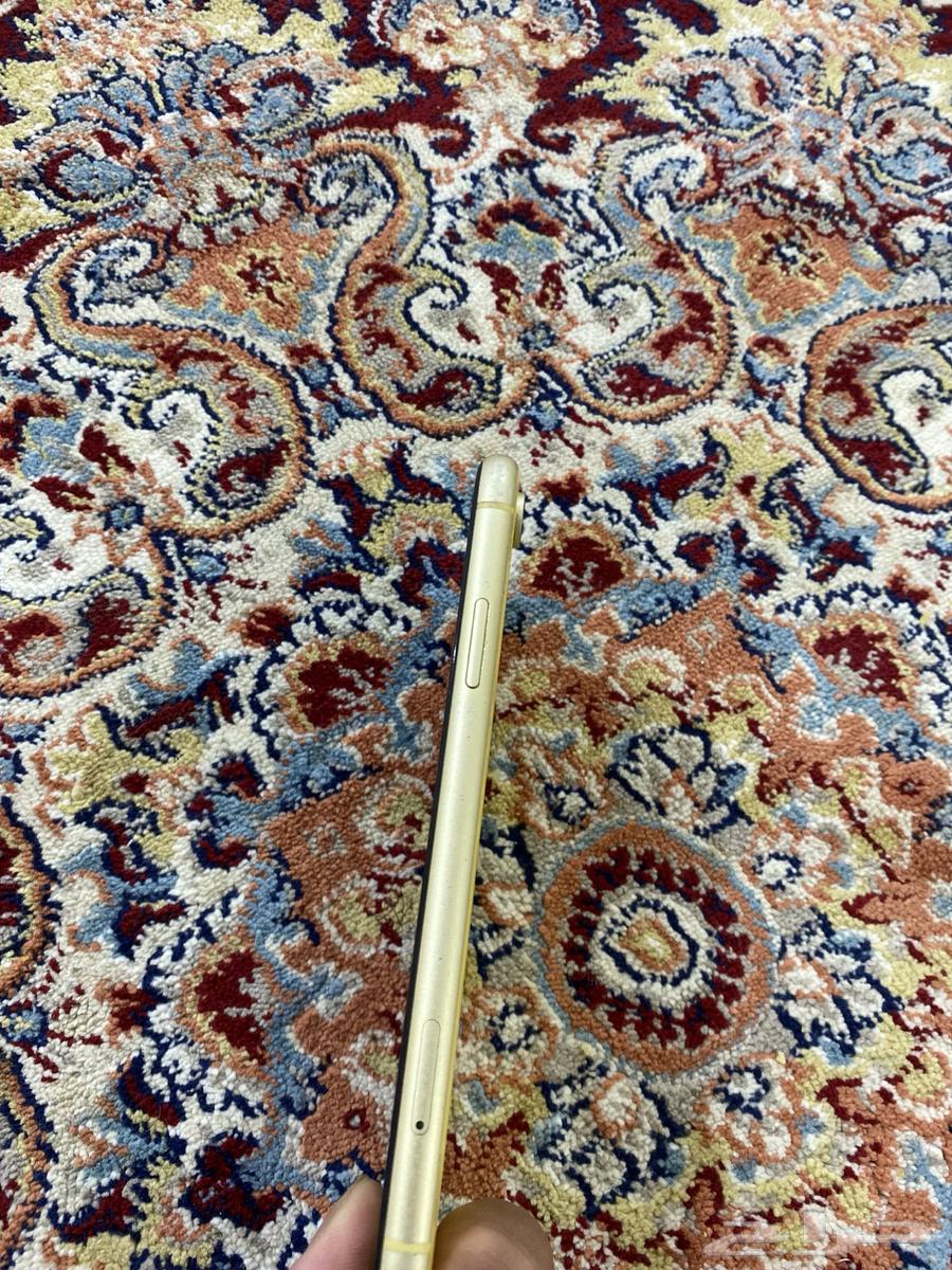 iPhone XR64409755305859112