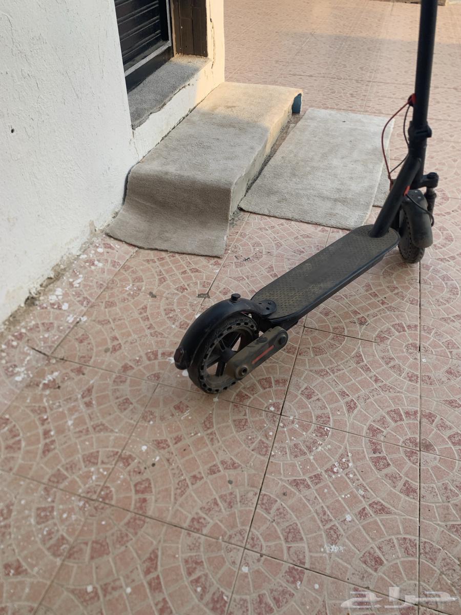 سكوتر شبيه شاومي يمشي 100km64408441334914111