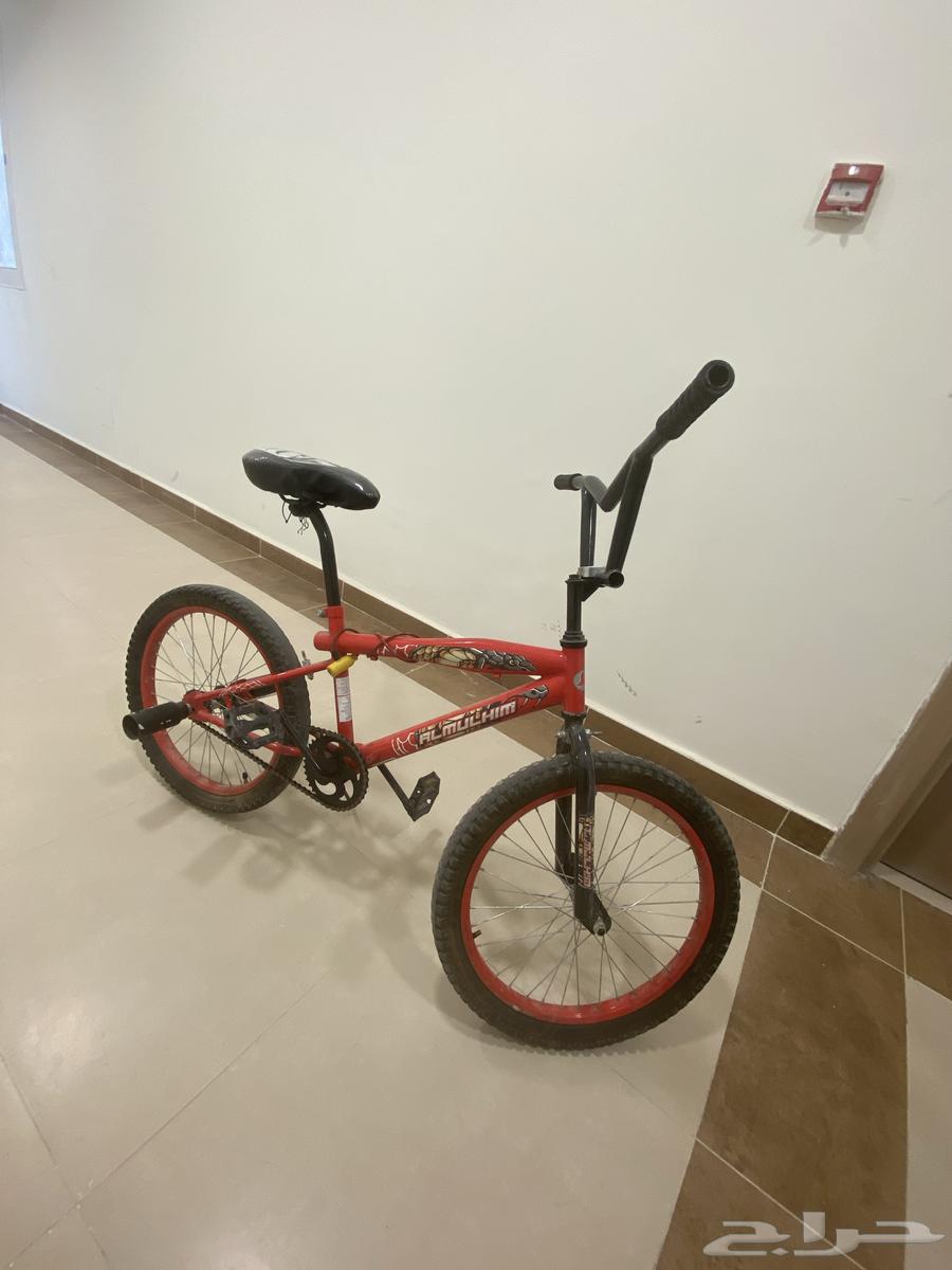 سيكل كوبرا64409380241922110