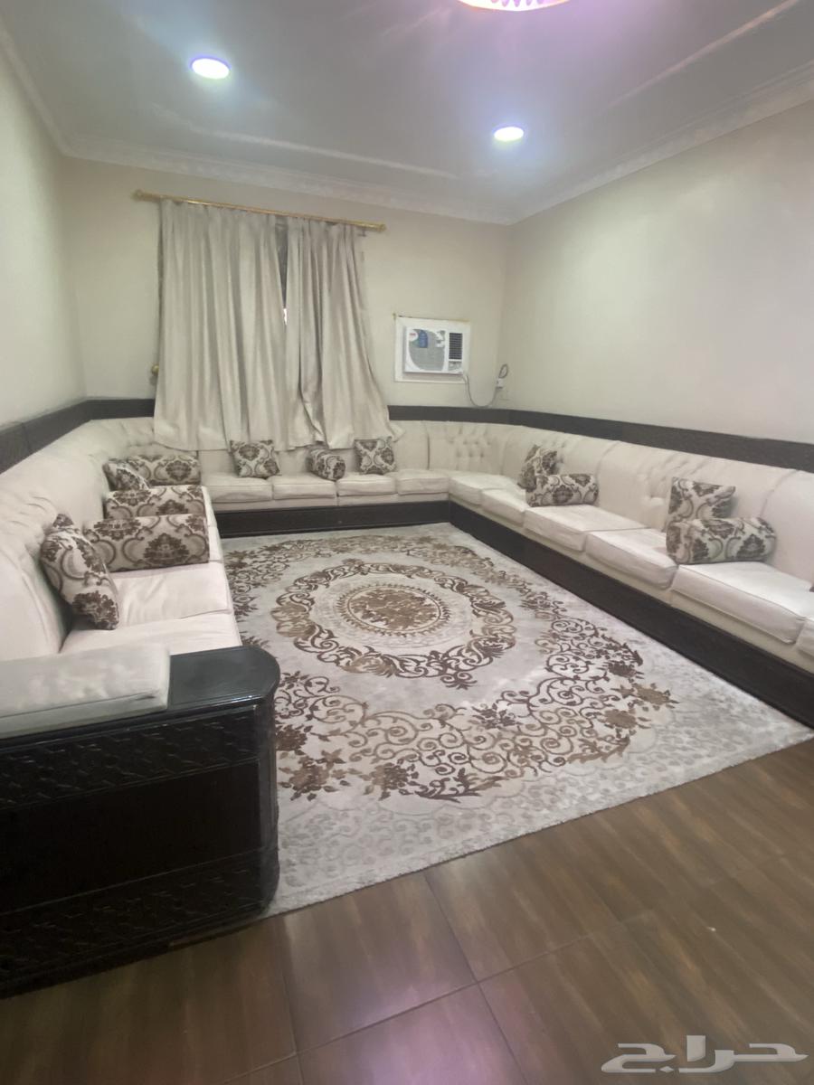 All items for sale: sofa with star and carpet64409477825411111