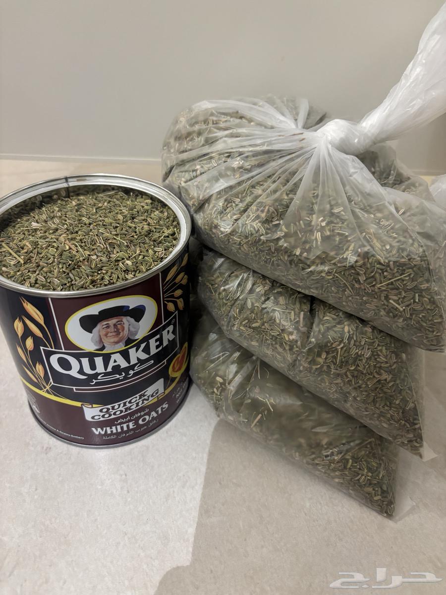 سنوت بلدي64405278970882110