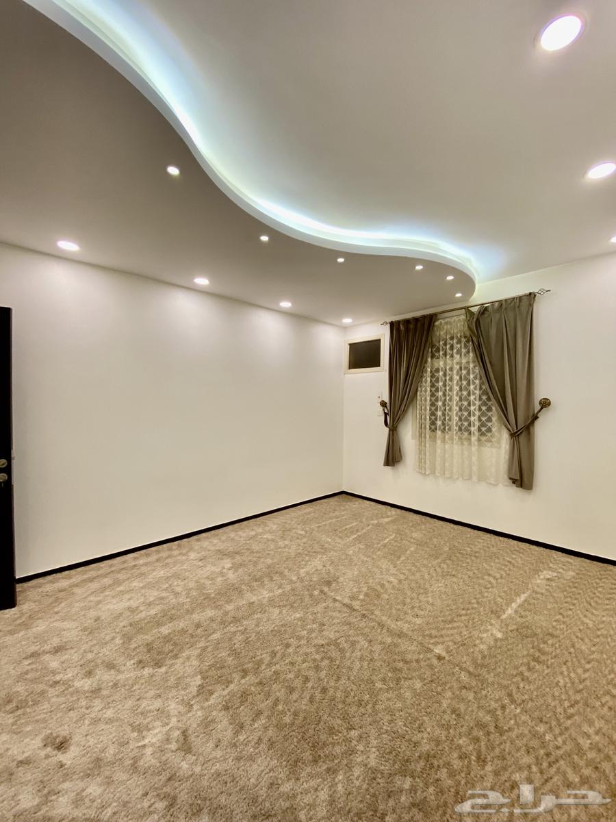 Independent furnished ground floor apartment in Al Mahallah, price reduced to 24,000 annually64141825477122113