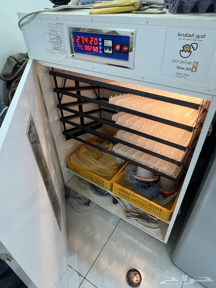 فقاصه للبيع نضيف64409810357379110