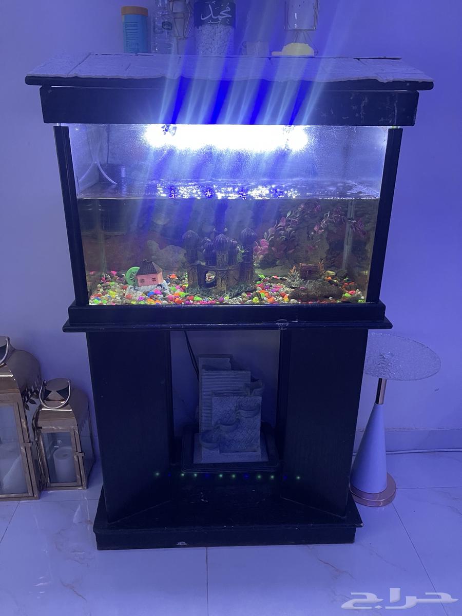 حوض سمك للبيع بكامل ملحقاته ألون اسود64409589006209110