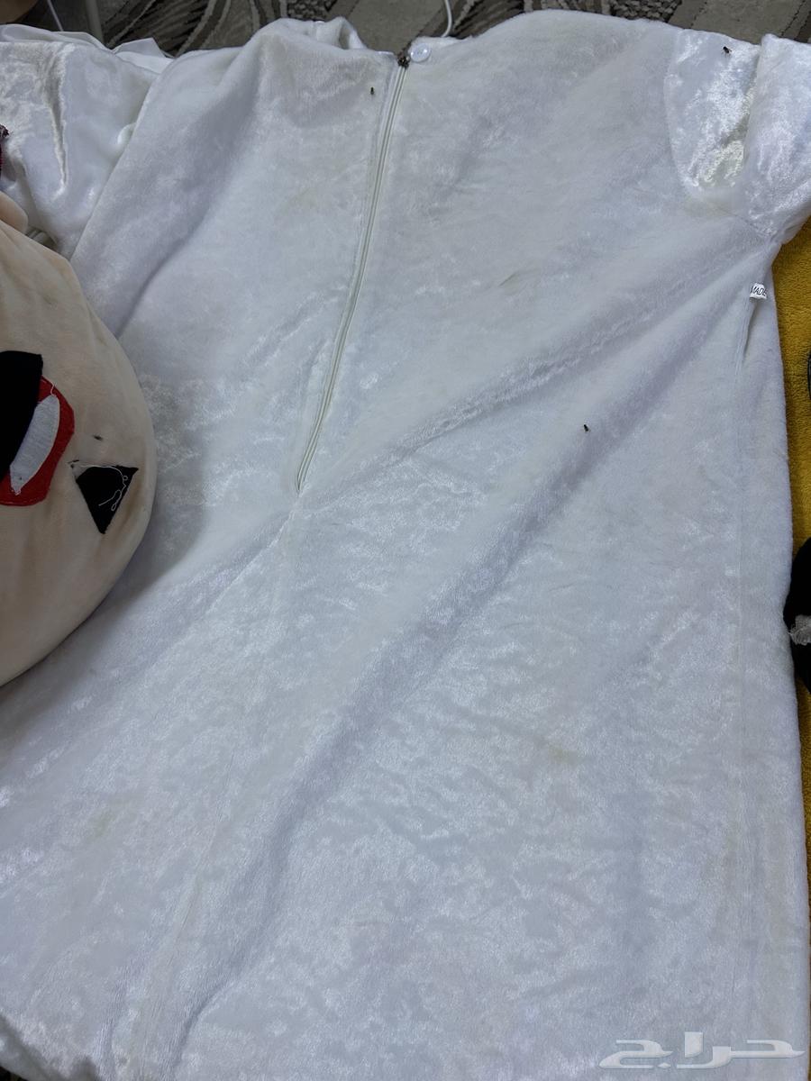 شخصيه كورتنيه64408399828609111