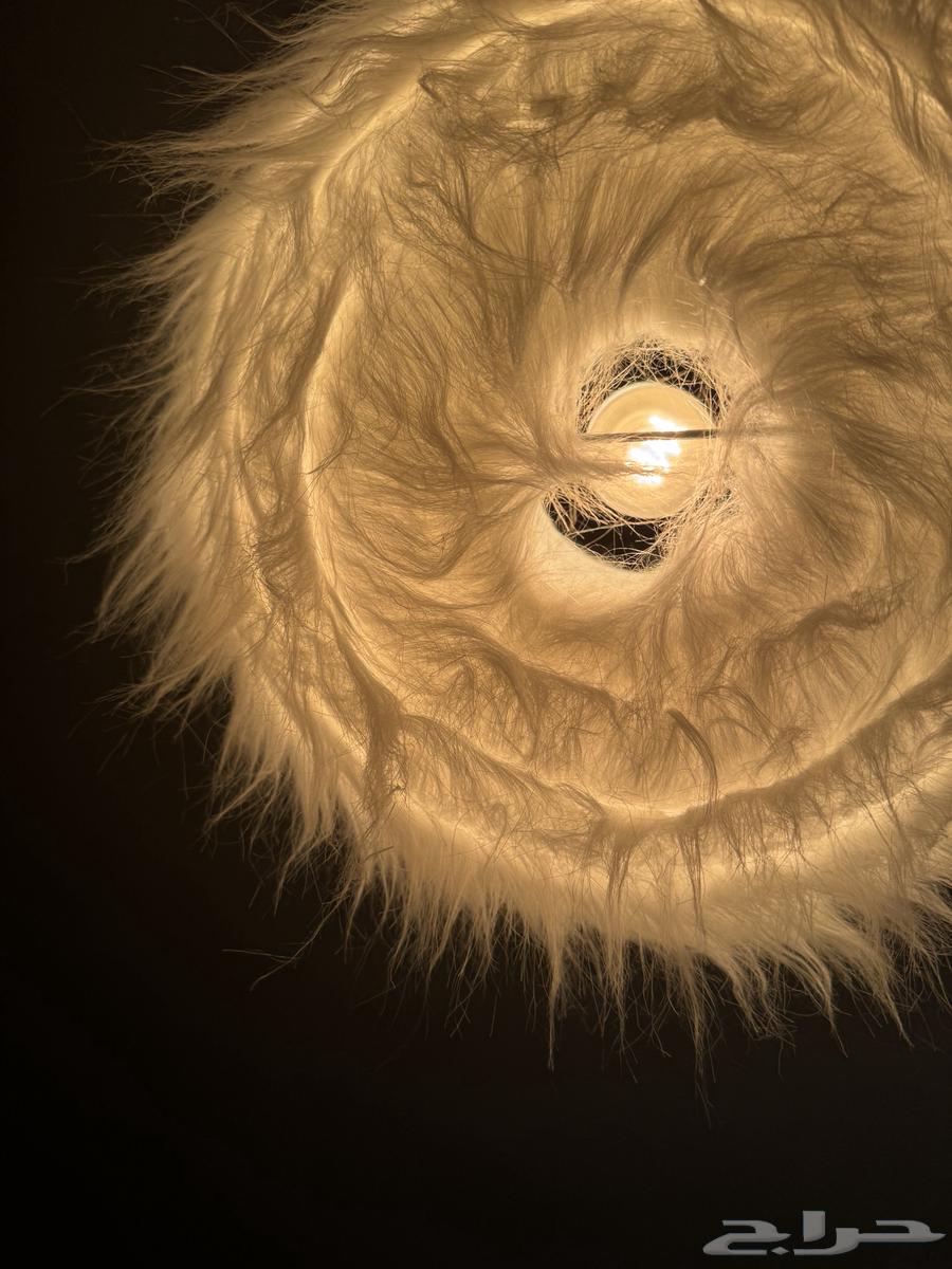 Lighting64405680508162113