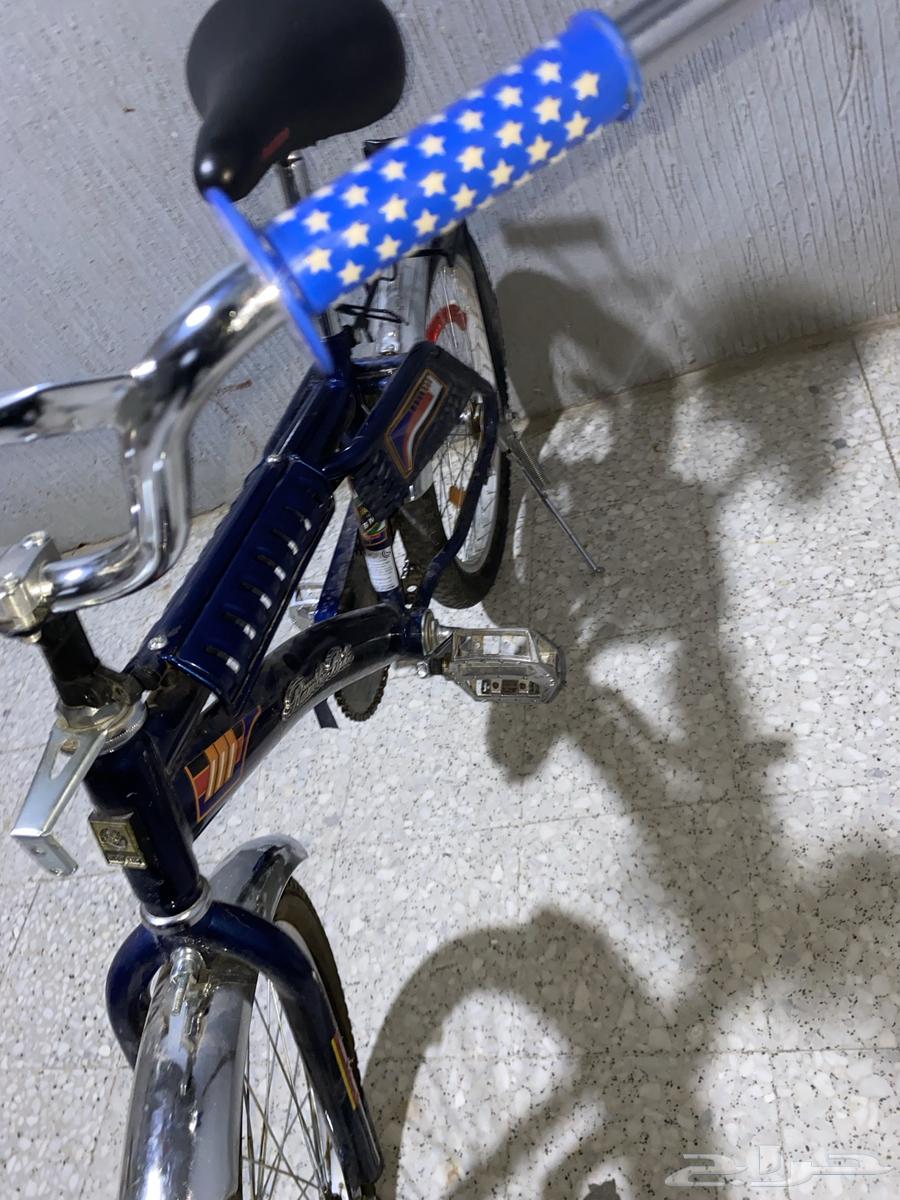 سيكل رامبو64410391568641114