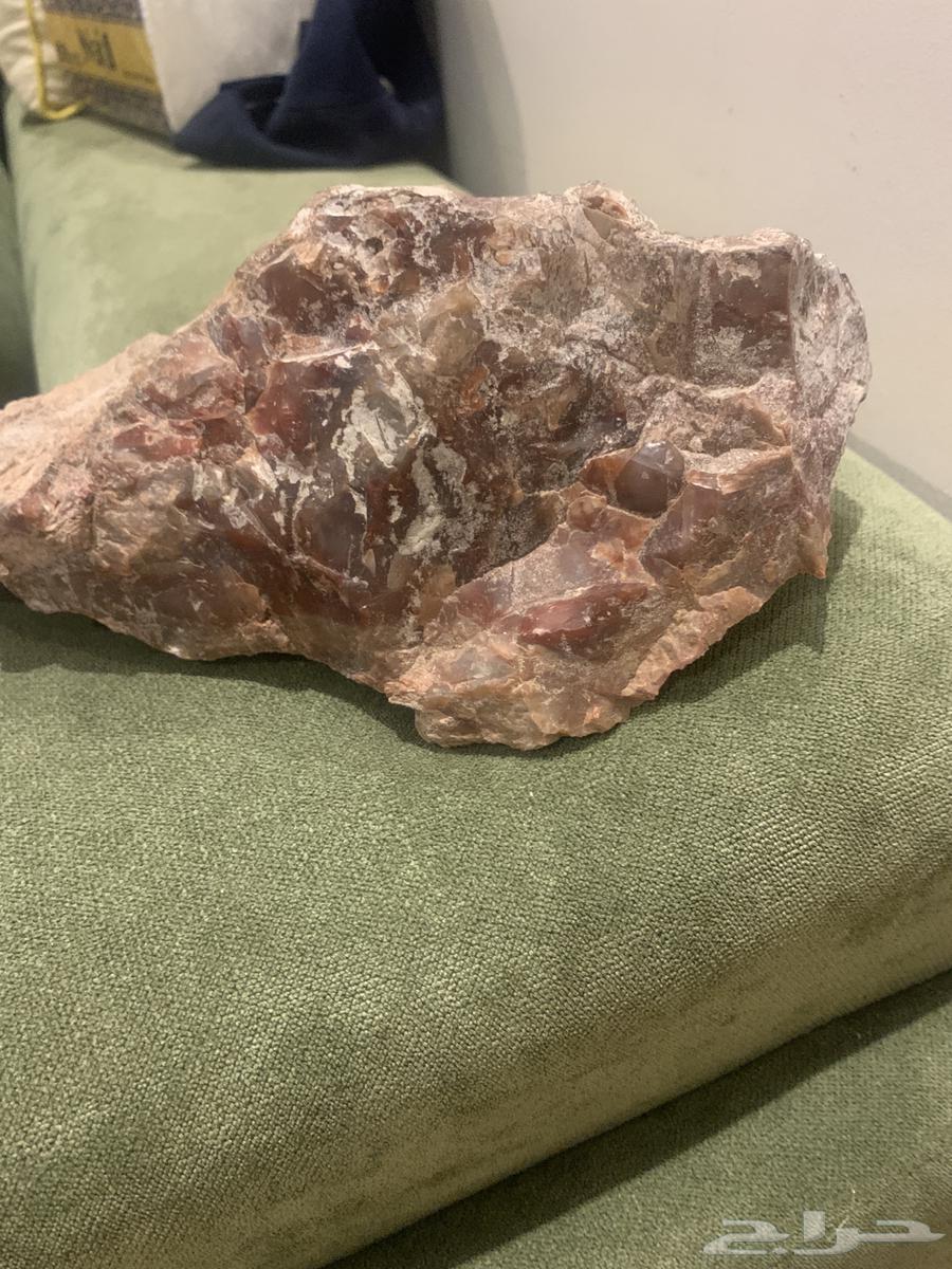 للبيع تحف من الطبيعه64407628471426113