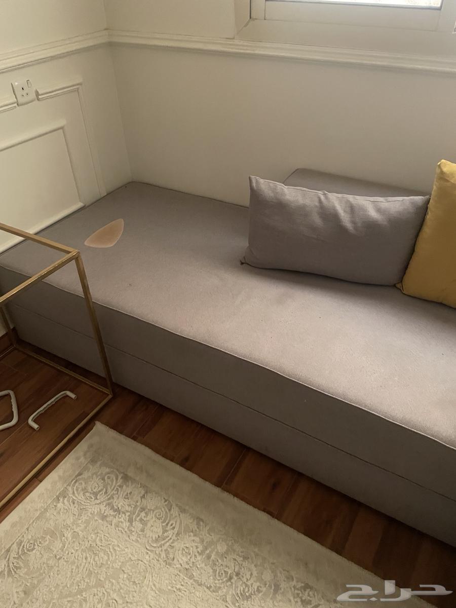 الرياض النرجس64411661349122110