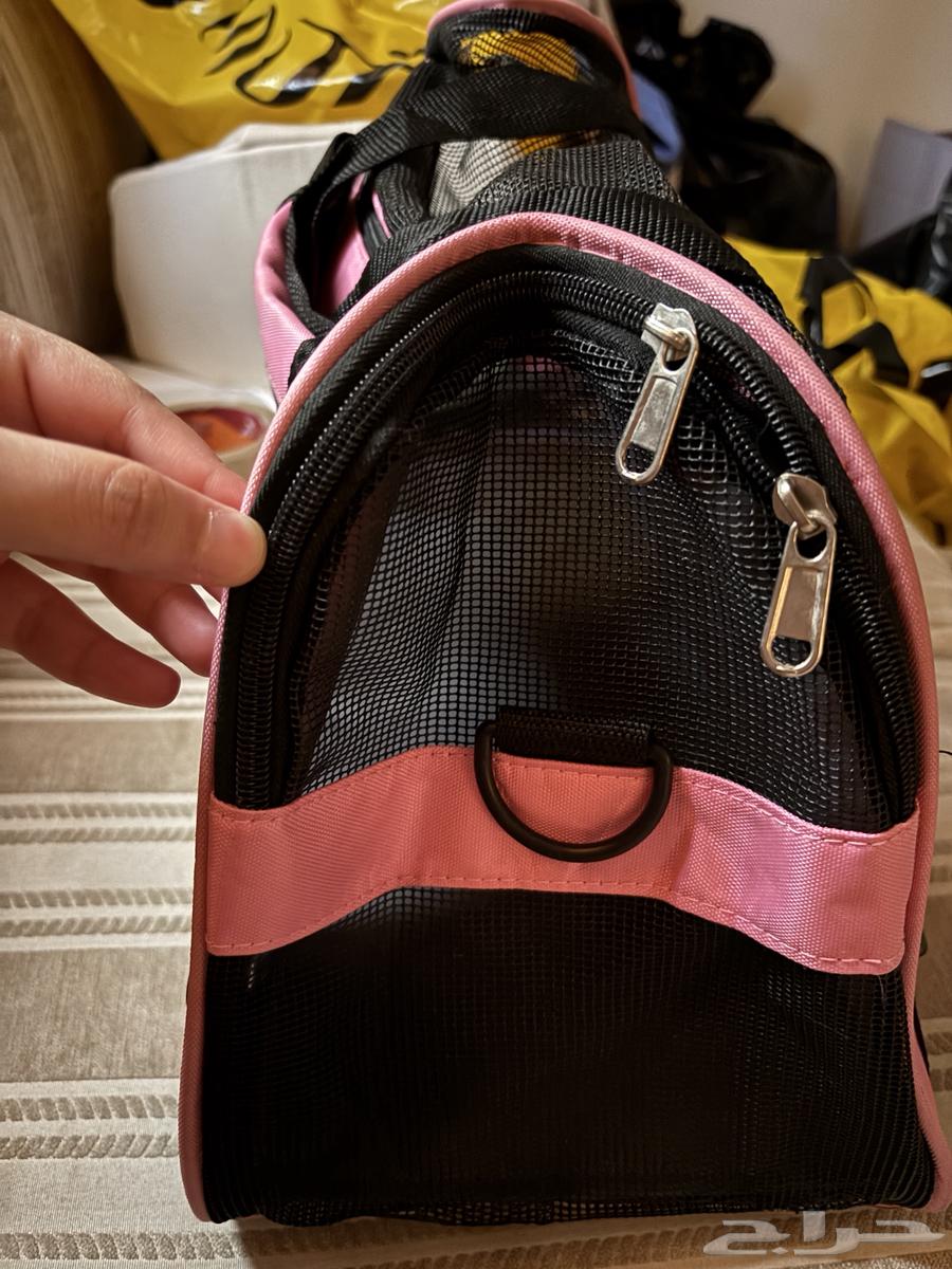 شنطه قطط للبيع64408287174786111