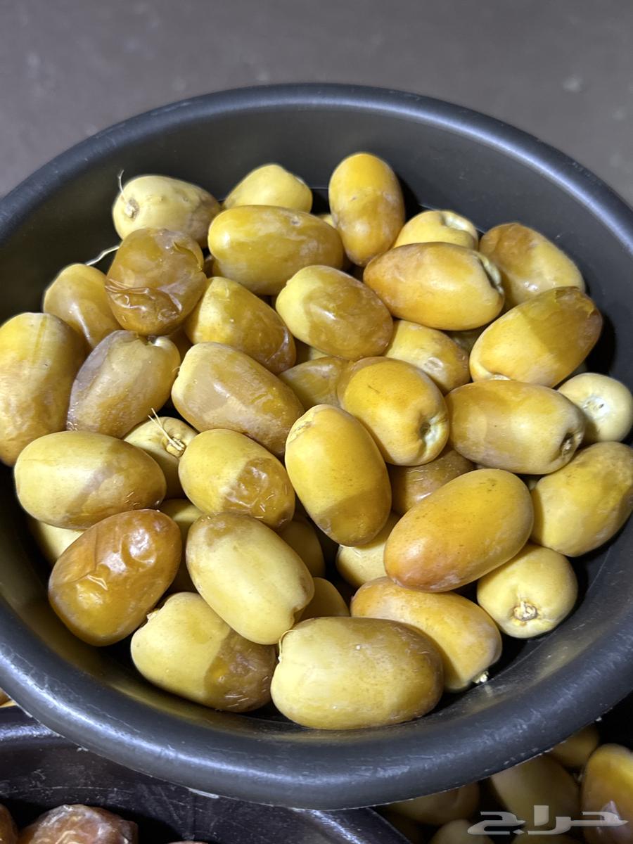 خلاص الحوطه بالرياض يوجد توصيل64411581025281110