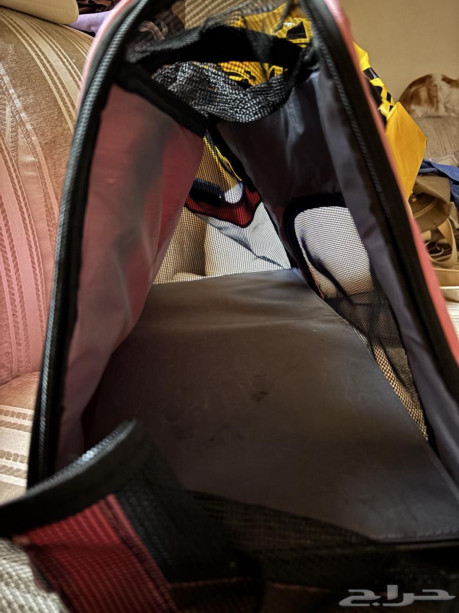 شنطه قطط للبيع64408287174786113