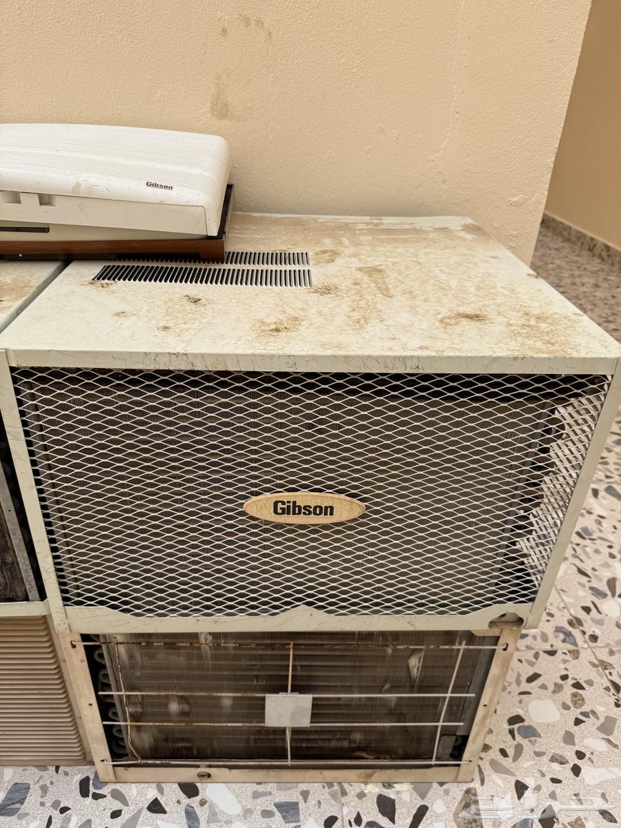 المدينه المنوره64410652824706111