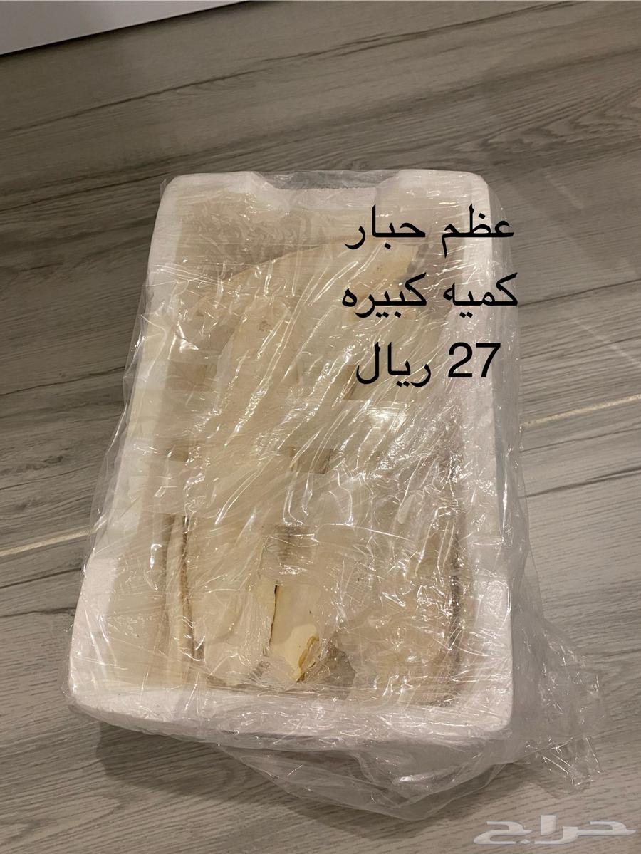 اقفاص ومستلزمات طيور للبيع64406319016962112