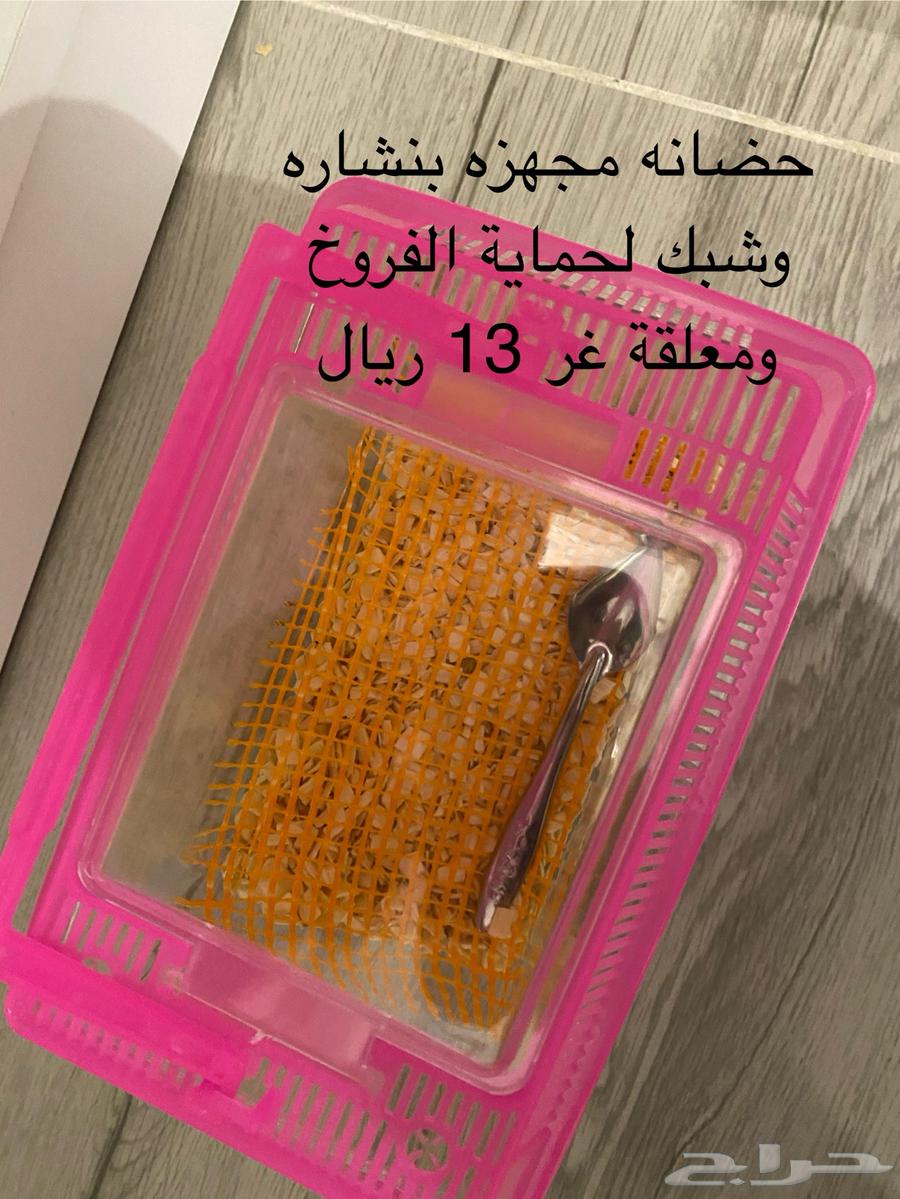 اقفاص ومستلزمات طيور للبيع64406319016962114