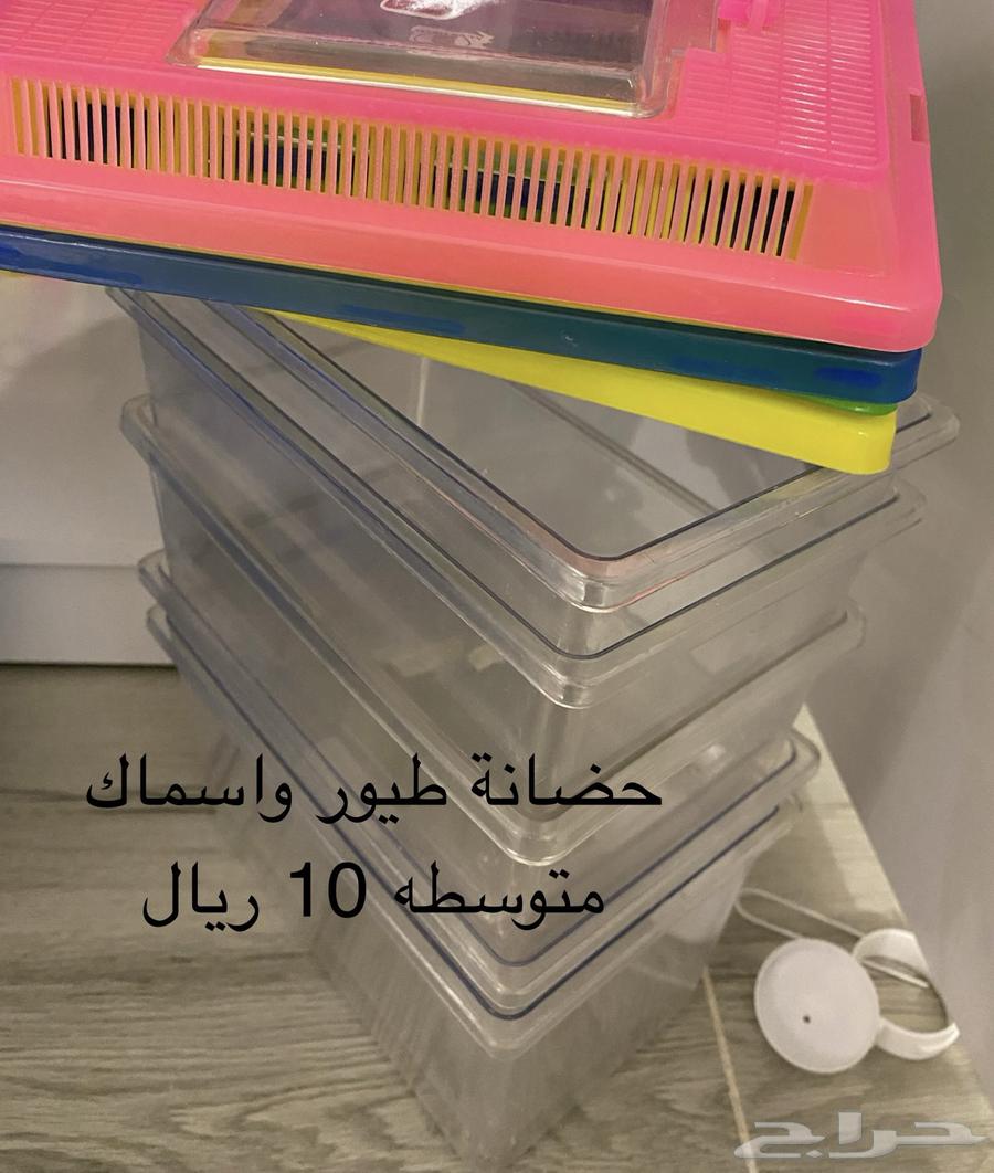 اقفاص ومستلزمات طيور للبيع64406319016962111