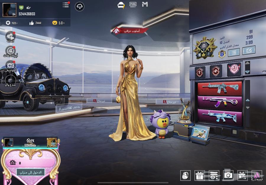 حساب ببجي للبيع64409630200834114