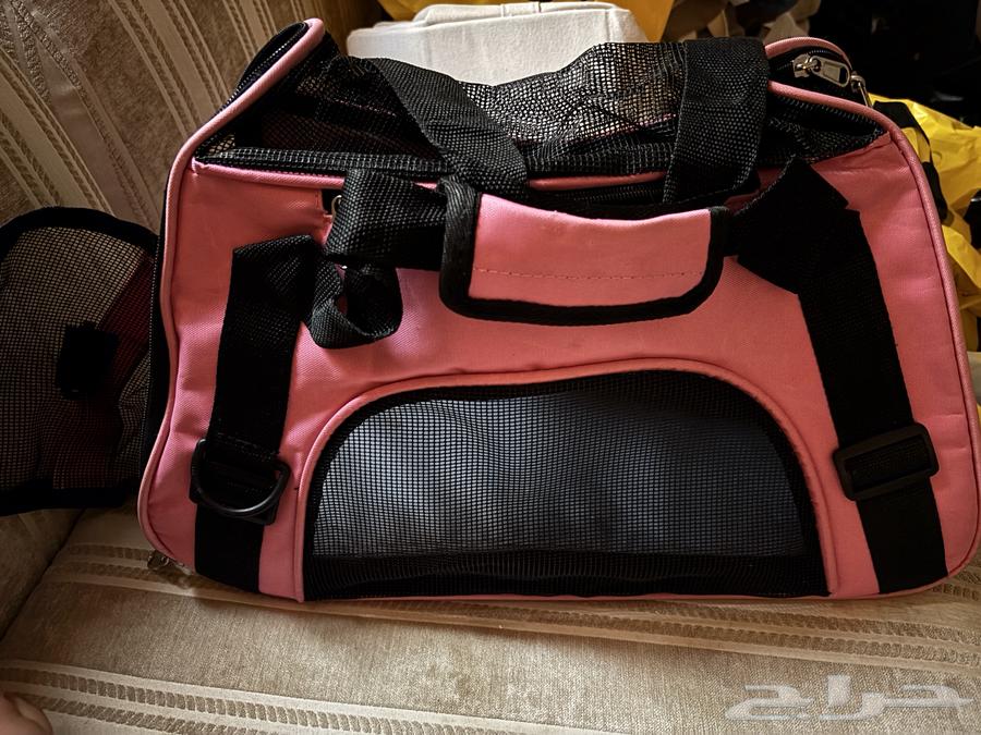 شنطه قطط للبيع64408287174786110