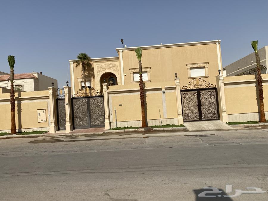 نخل واشنطن زينه64141853270145111