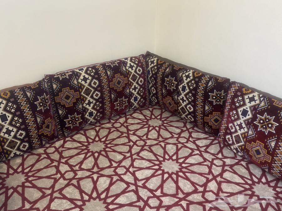 Violin for sale, size 4/4, 14 pieces with three stands64409450003586111