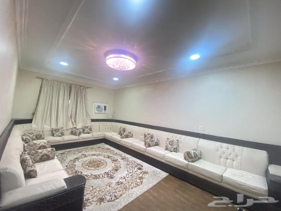 All items for sale: sofa with star and carpet64409477825411110