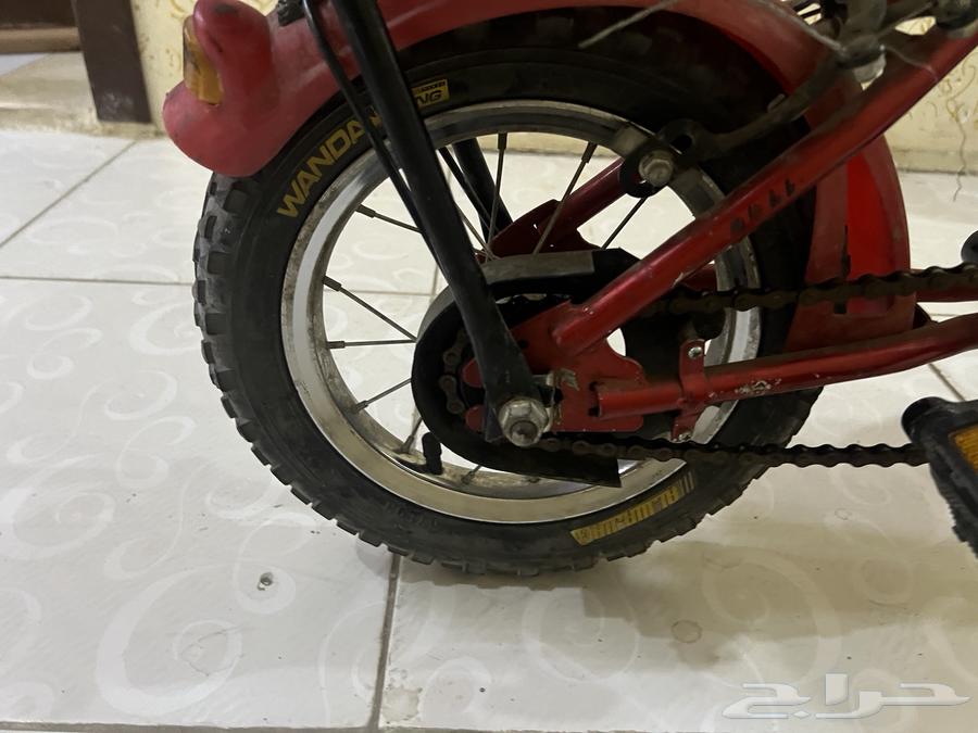 سيكل كوبرا مقاس 12 استخدام خفيف سلسلة جديدة مع بعض الاستخد64408552933249112