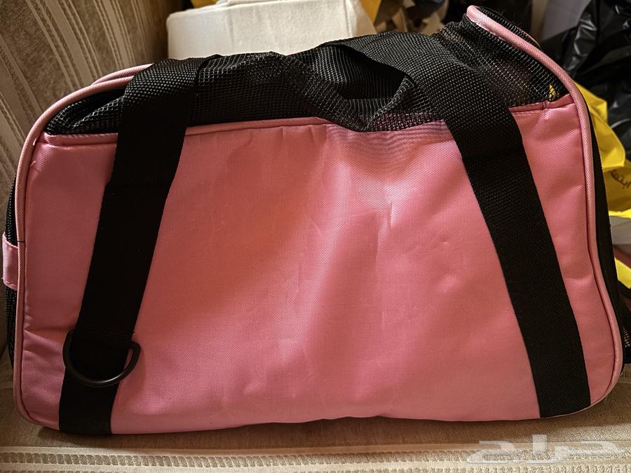 شنطه قطط للبيع64408287174786112