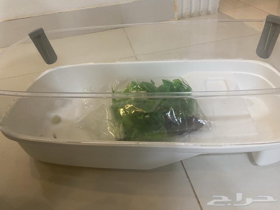 حوض سلحفاء64407084546049114