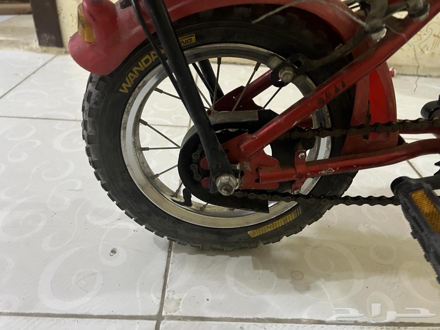 سيكل كوبرا مقاس 12 استخدام خفيف سلسلة جديدة مع بعض الاستخد64408552933249111