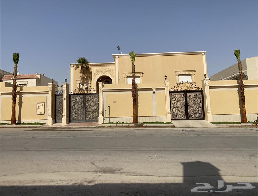 نخل واشنطن زينه64141853270145112