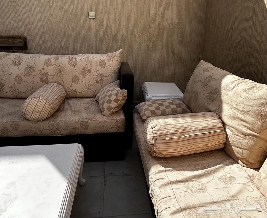 Sofas64408329591170112