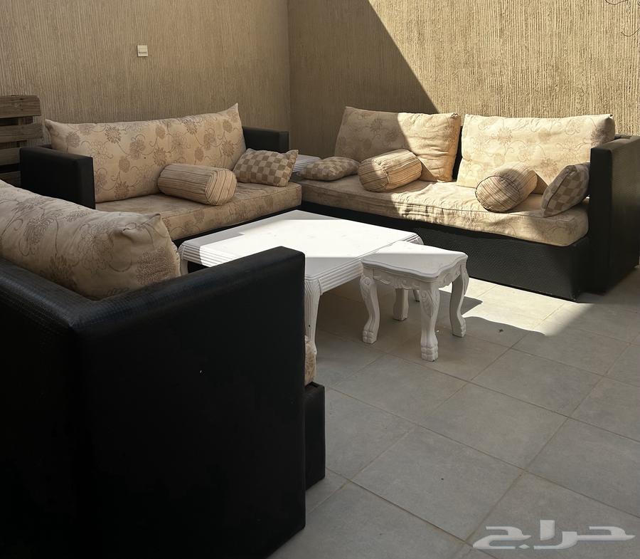 Sofas64408329591170110