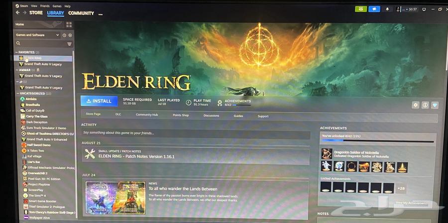 حساب ستيم كامل للبيع قراند  الدن رينق  العاب اخرى64411351773569111