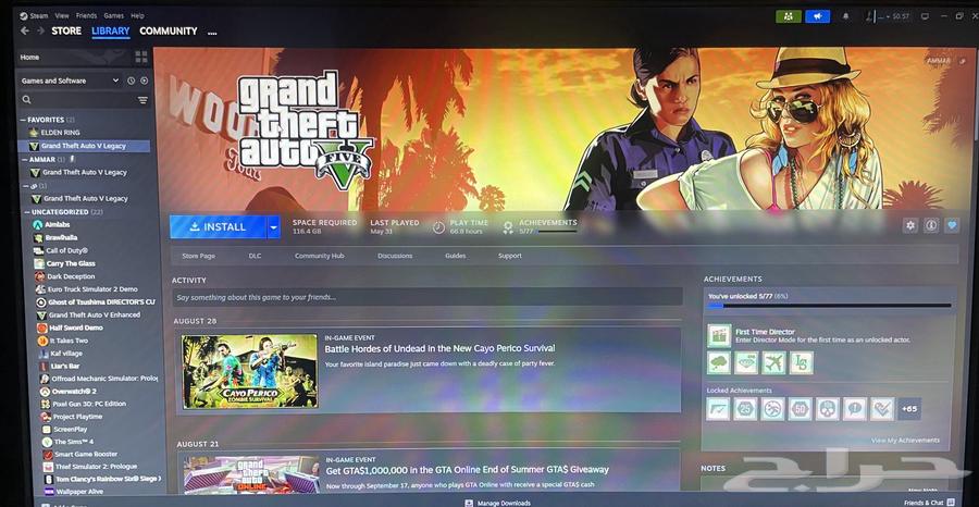 حساب ستيم كامل للبيع قراند  الدن رينق  العاب اخرى64411351773569110