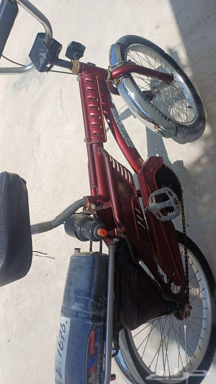 سيكل اندنوسي نضيف للبيع64407979017345110