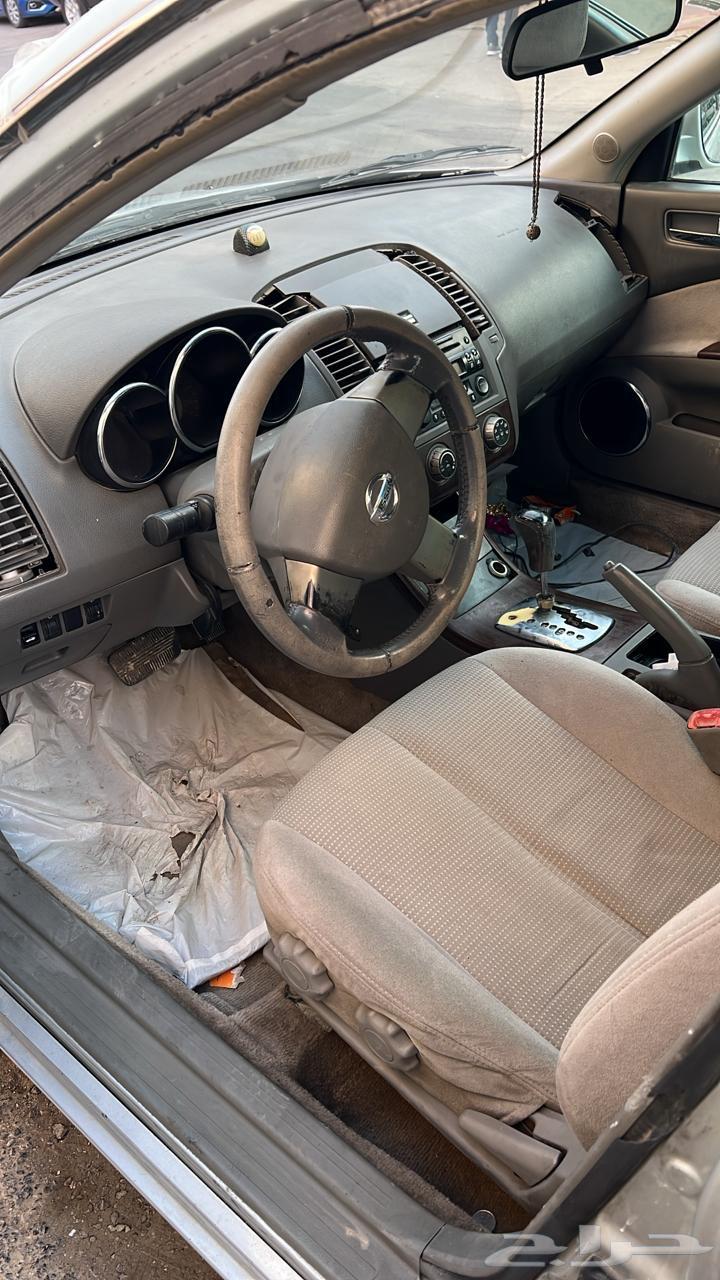 Taima 200564561249770242113