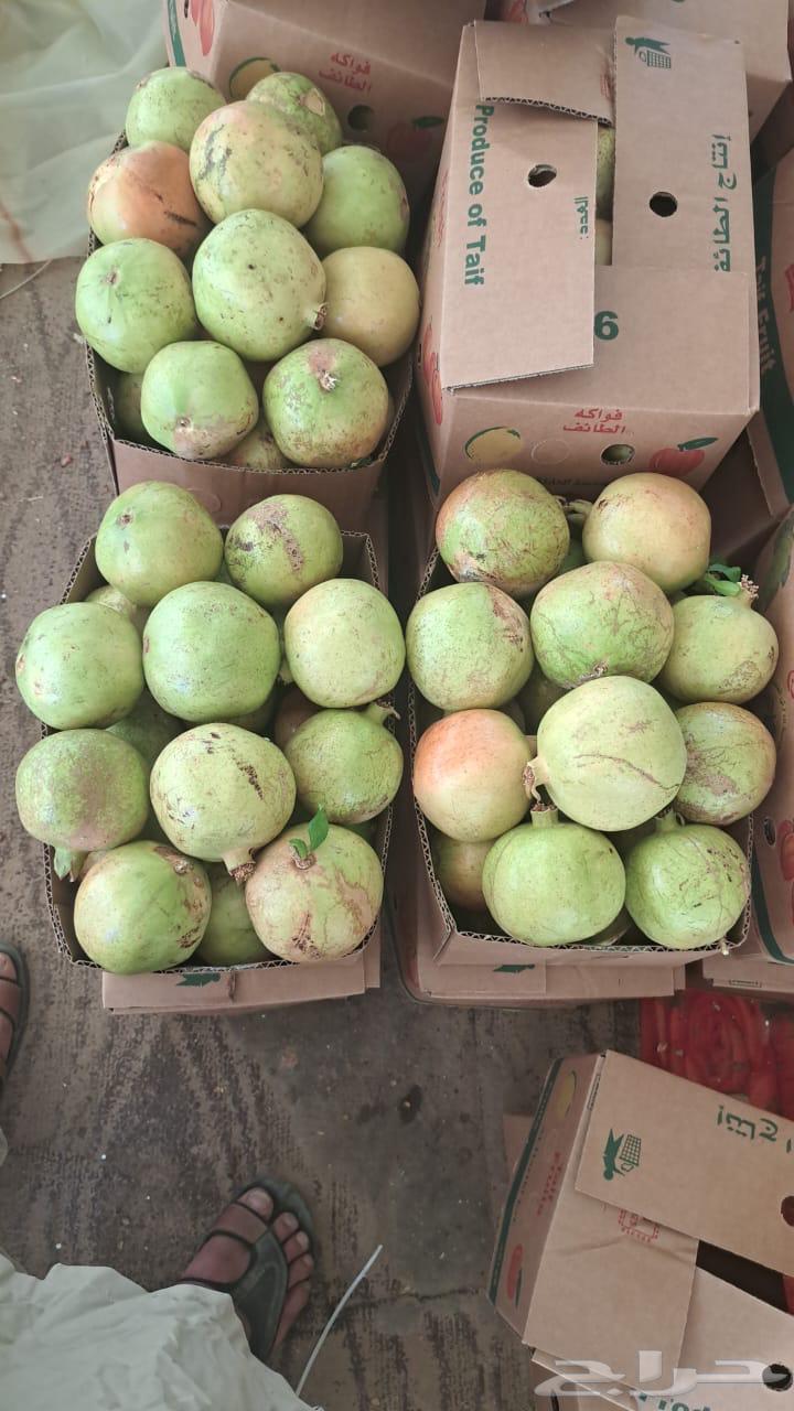 رمان للبيع64409533512578113