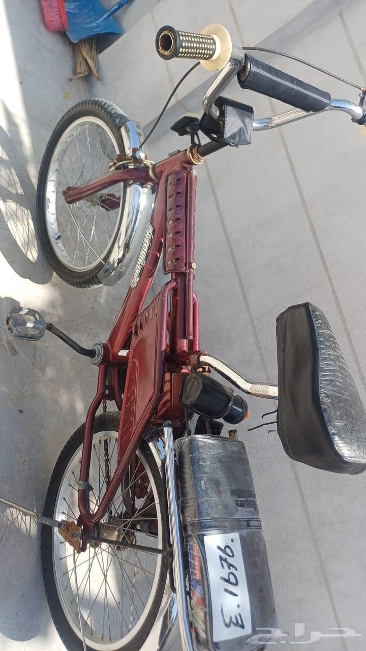 سيكل اندنوسي نضيف للبيع64407979017345111