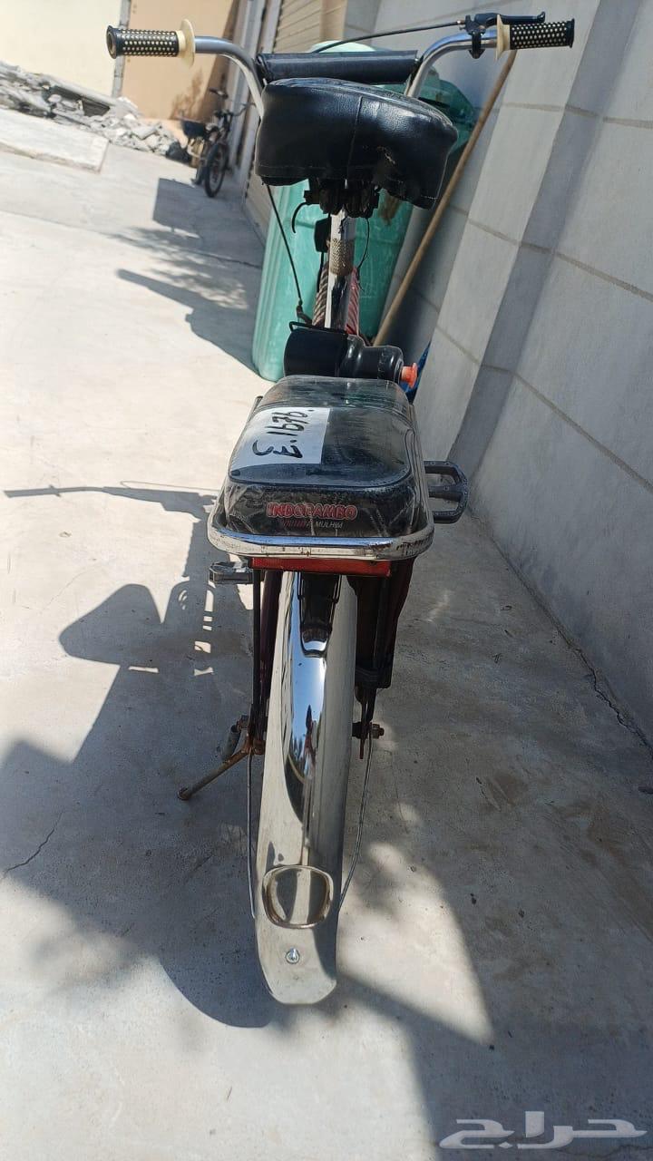 سيكل اندنوسي نضيف للبيع64407979017345113