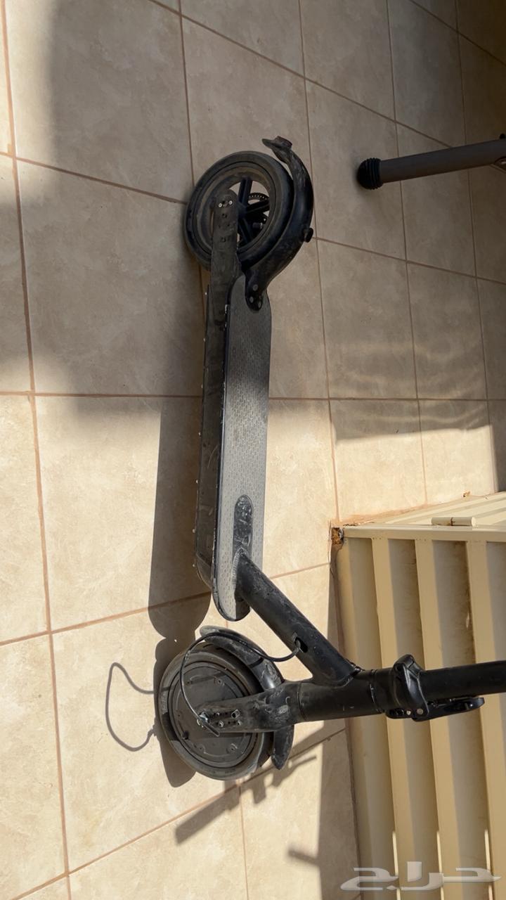 سكوتر كهربائي للبيع64406681947011111