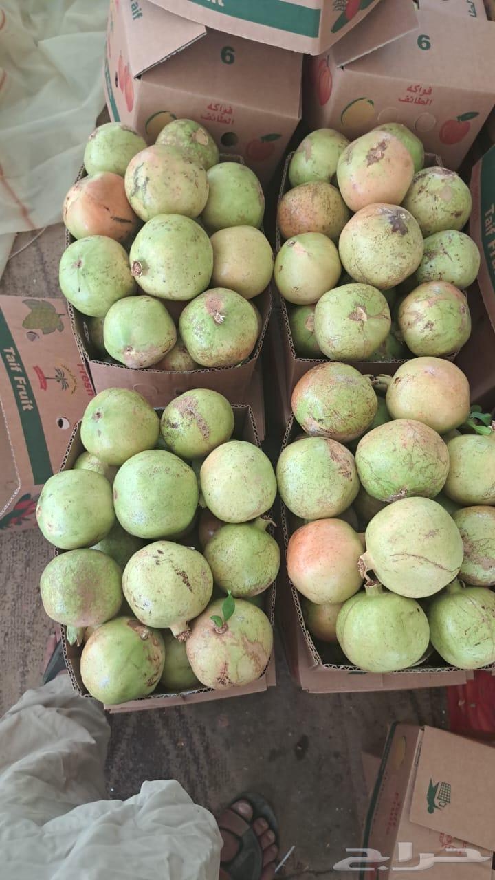 رمان للبيع64409533512578112