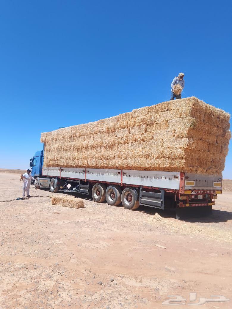 Wheat Straw (Cash on Delivery)64408343673219112